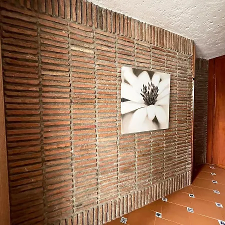 In The Center-torremolinos